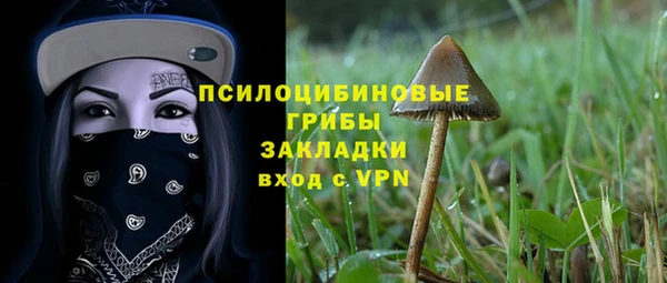 мяу мяу мука Белокуриха