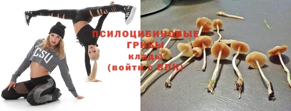 мяу мяу мука Белокуриха