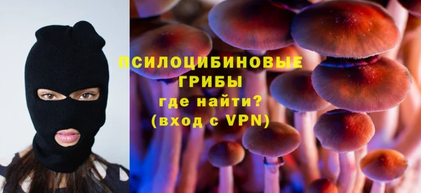 мяу мяу мука Белокуриха