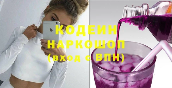 гидра Богданович