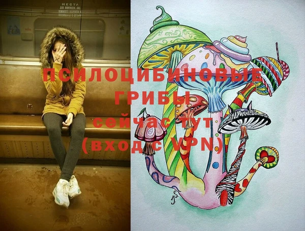 мяу мяу мука Белокуриха