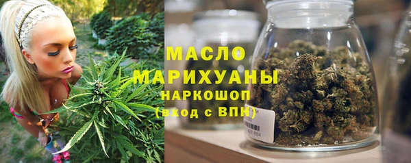 гидра Богданович