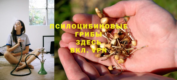 мяу мяу мука Белокуриха