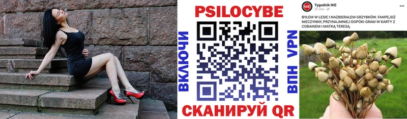 ОМГ ОМГ вход  Богородск  Галлюциногенные грибы Cubensis 
